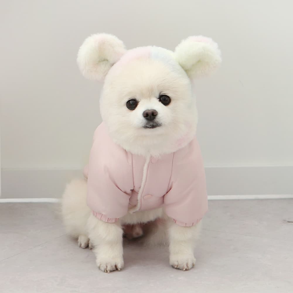 犬服 ふわもこくまさんダウンジャケット