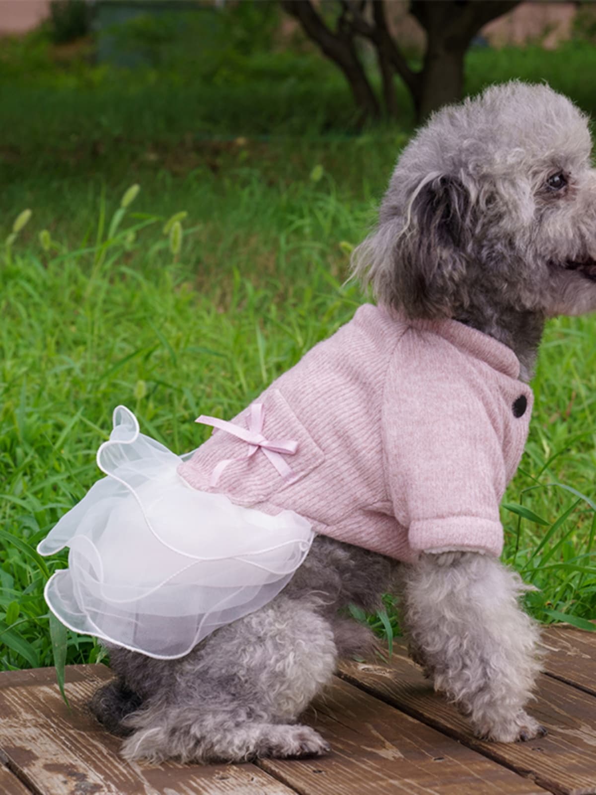犬服 ふわもこ帆船ダウンジャケット