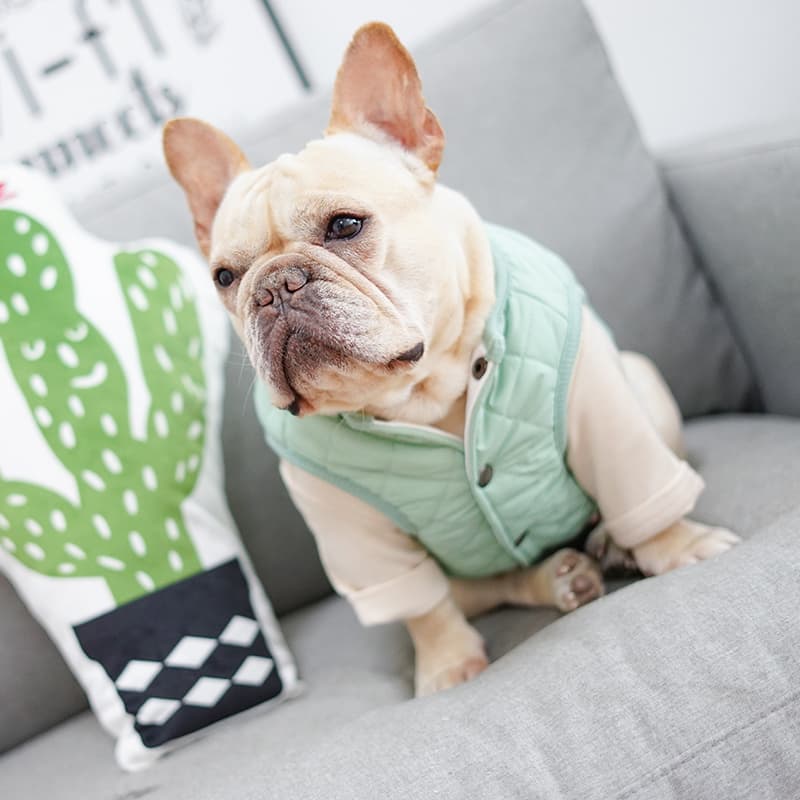 キルティング中綿入りベスト型犬服アウター