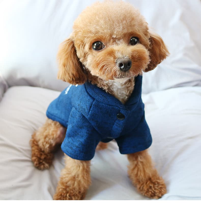 犬服 おさかなモチーフの暖かコート