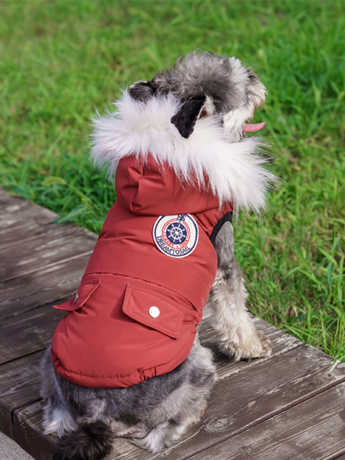 犬服 ふわもこ帆船ダウンジャケット