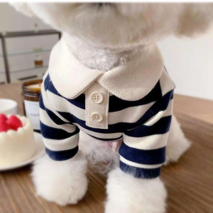 犬服 ボーダー柄ポロシャツ風犬服