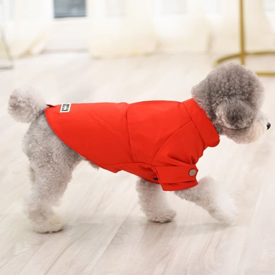 犬服 上品トレンチコート