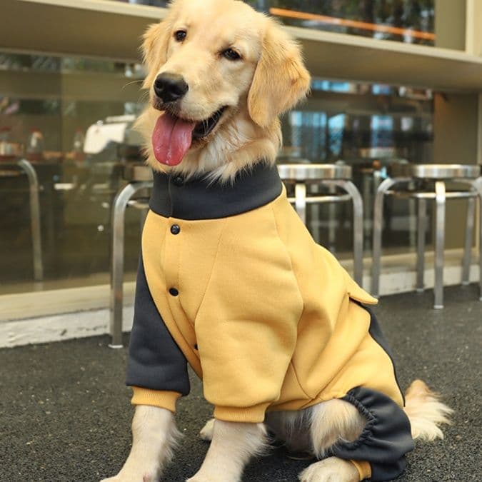 犬服 四脚運動スタイル全身トレーナー