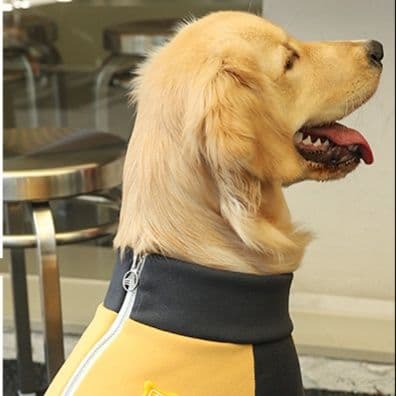 犬服 四脚運動スタイル全身トレーナー