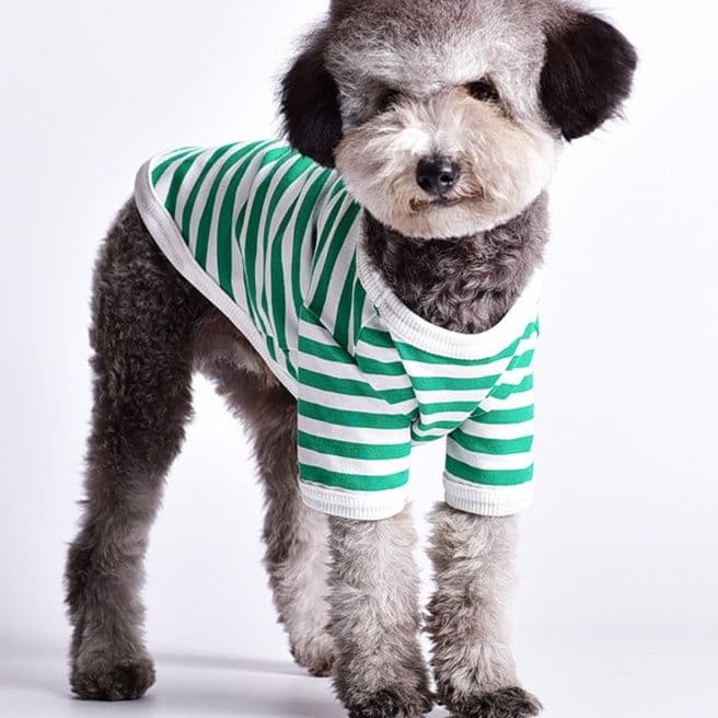 犬服 シンプルボーダートレーナー
