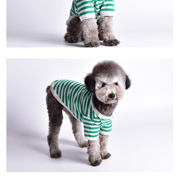 犬服 シンプルボーダートレーナー
