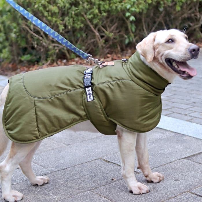 犬服 大型犬用フルカバー中綿入りあったか防寒ジャケット