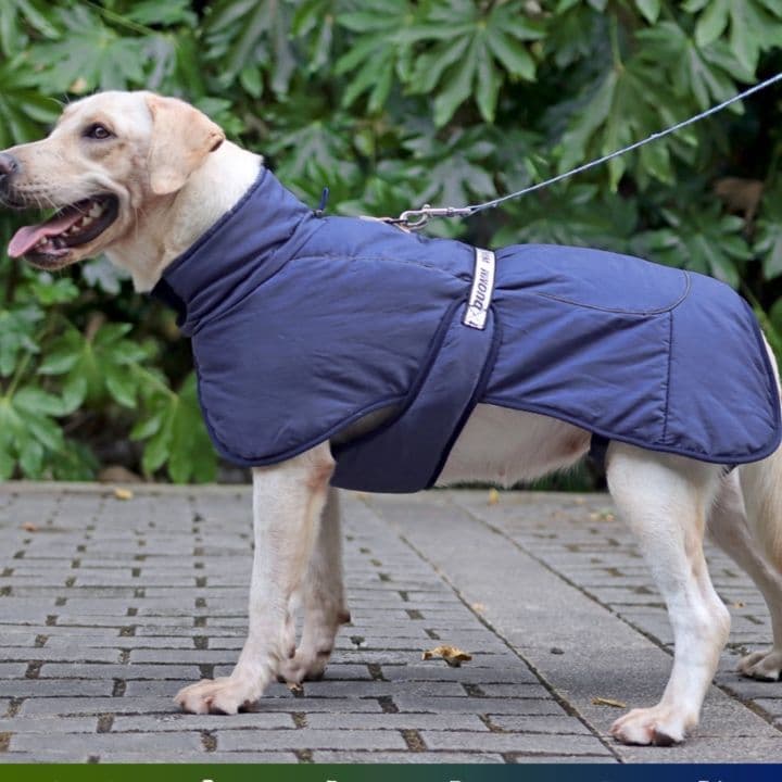 犬服 大型犬用フルカバー中綿入りあったか防寒ジャケット