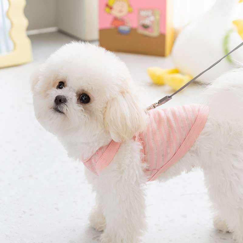 犬服 小型犬用メッシュベスト