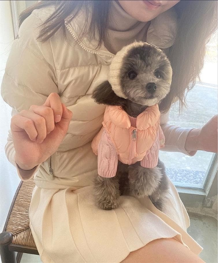 犬服 ふわもこダウンベスト