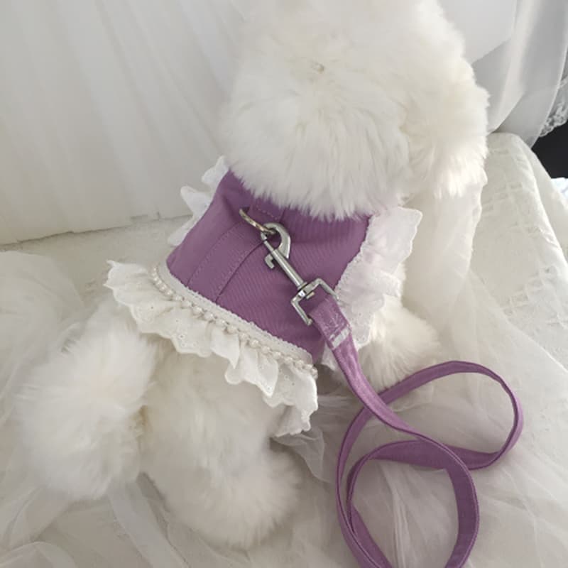犬服 姫フリルレースワンピース
