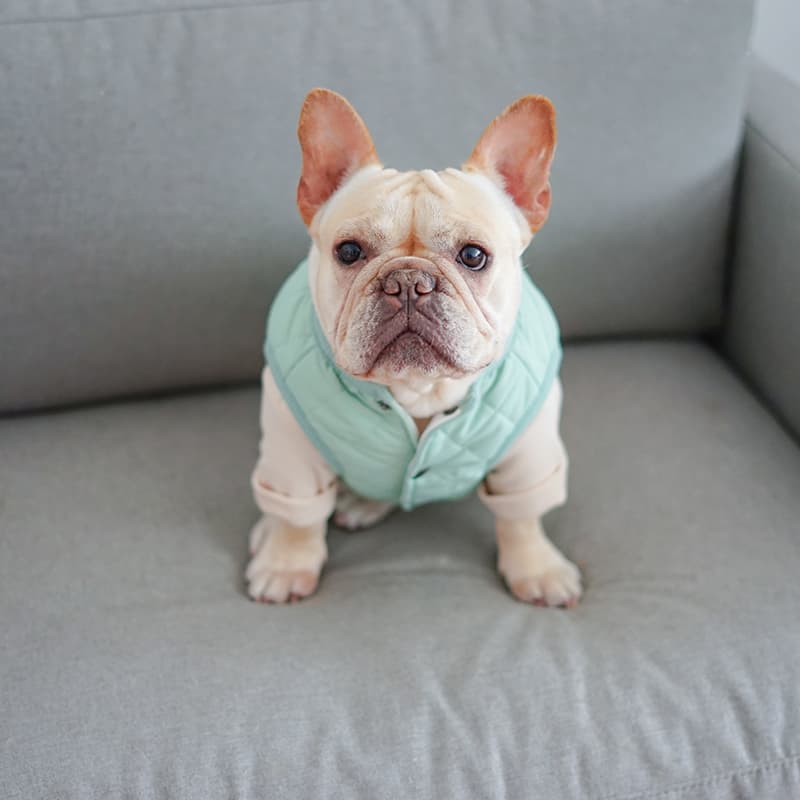 キルティング中綿入りベスト型犬服アウター