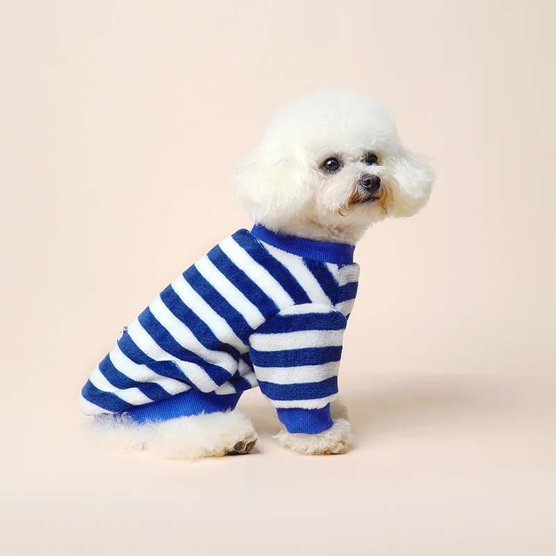 犬服 ふわもこボーダーニットワンピース