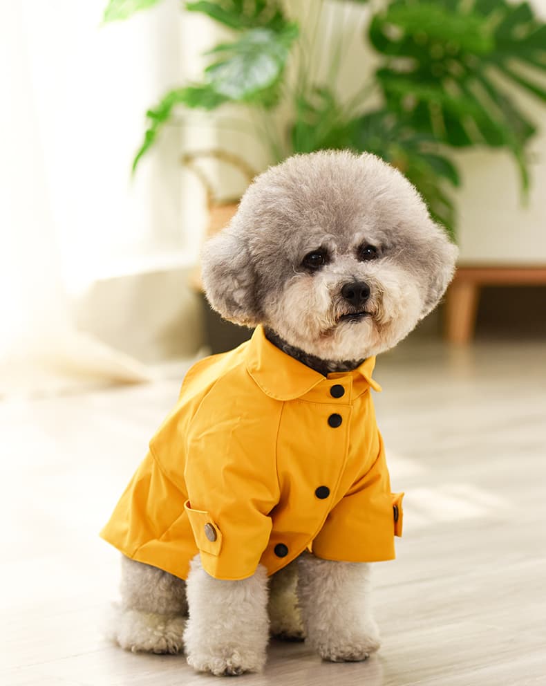 犬服 上品トレンチコート