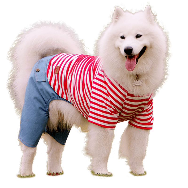 犬服 もこもこ大型犬用ボーダーつなぎ