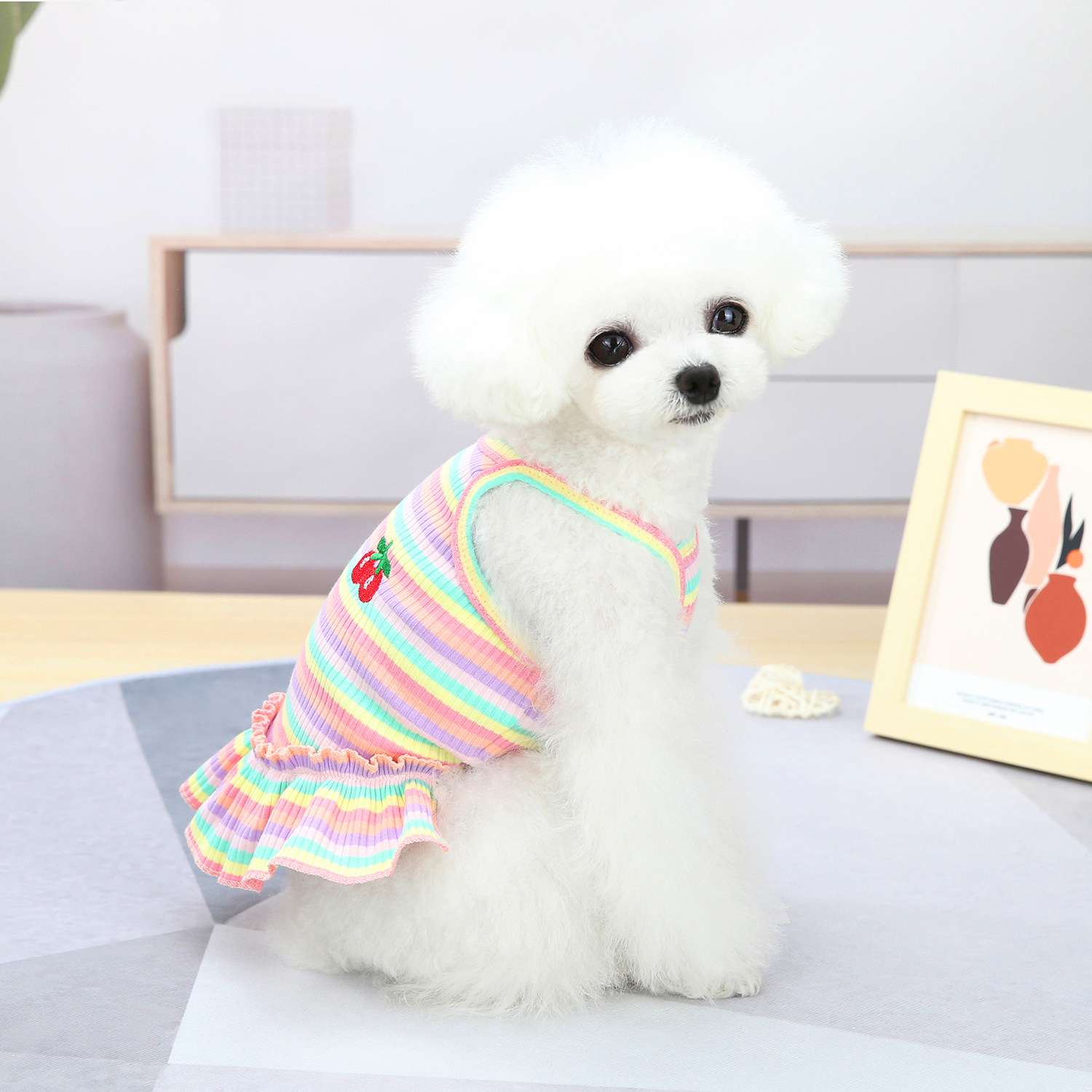 犬服 ふんわり小型犬〜大型犬用フリルワンピース