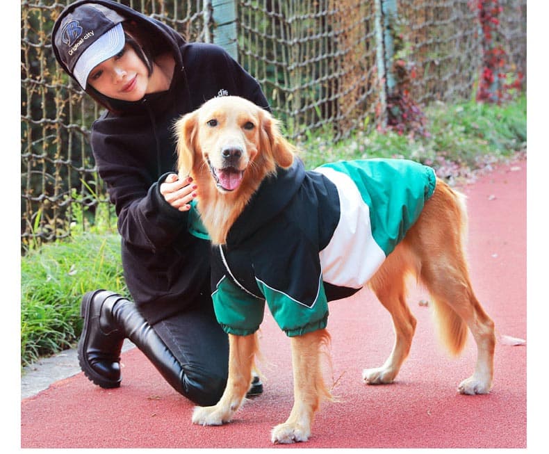 犬服 配色切替デザイン四つ足タイプ犬用パーカー