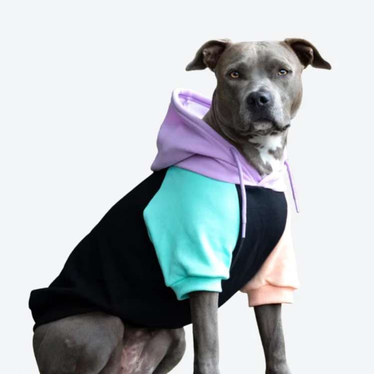 犬服 大型犬用カラフルパーカー