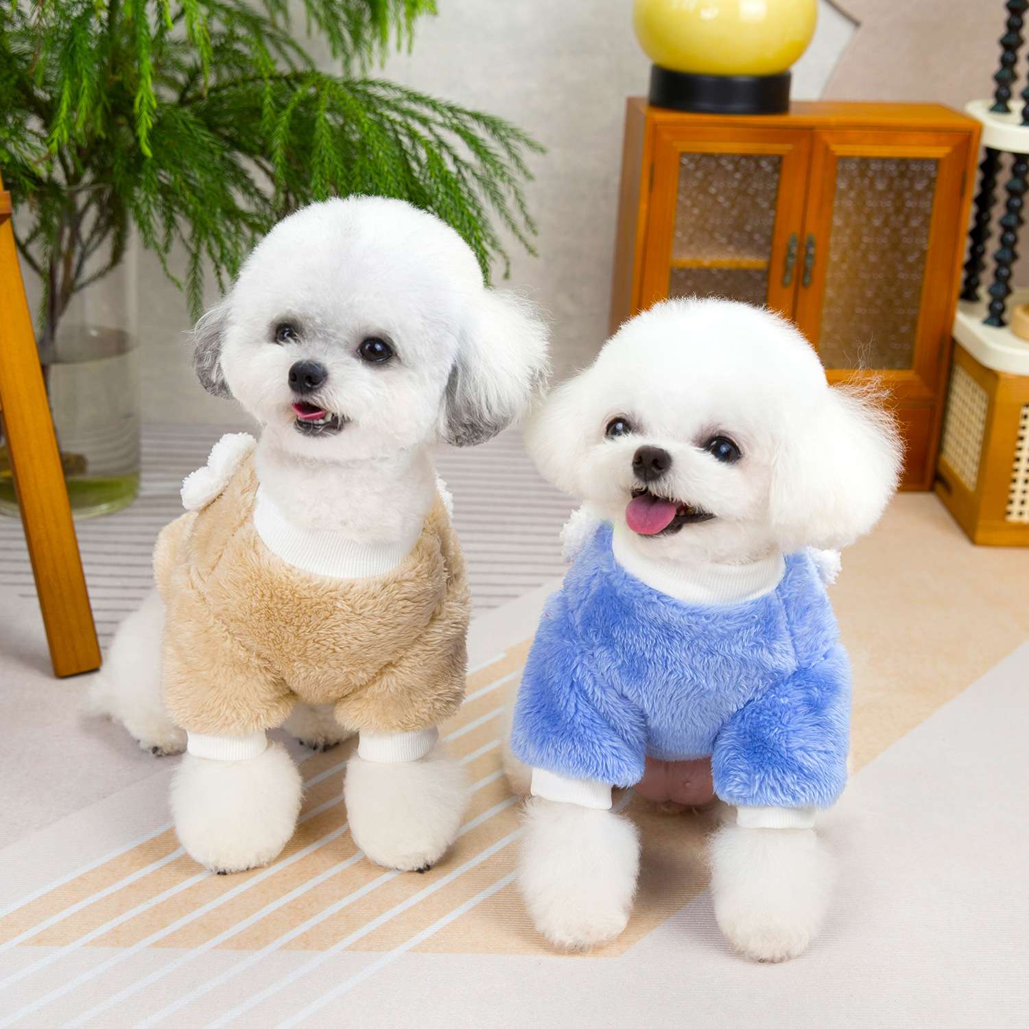 もこもこ可愛いクマさん犬服