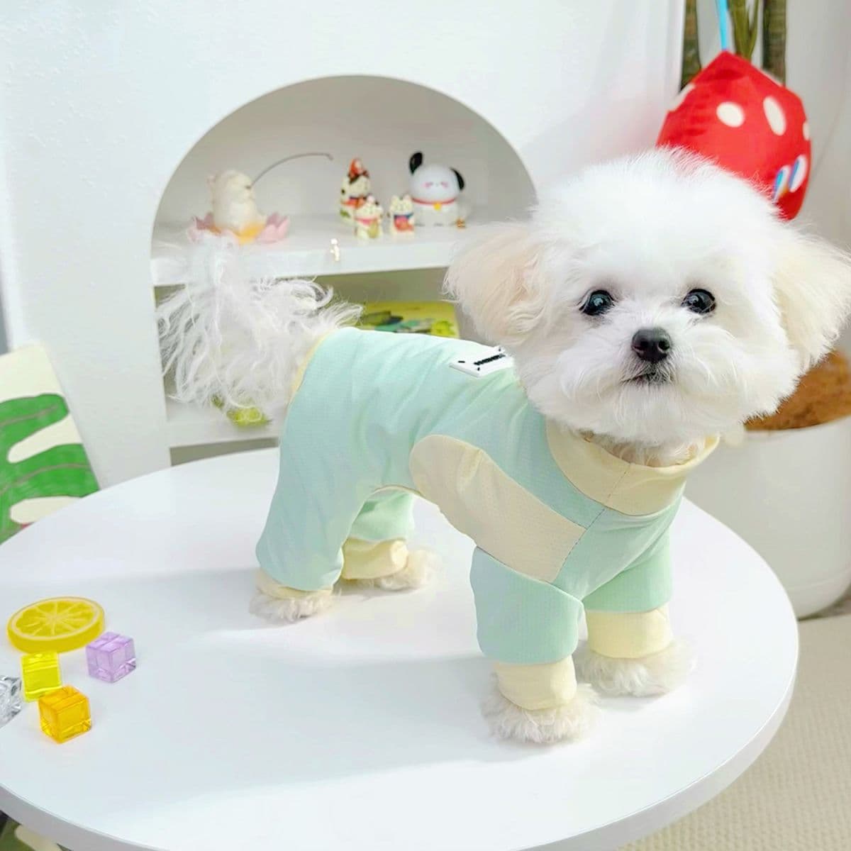 犬服 ひんやりパステルつなぎ