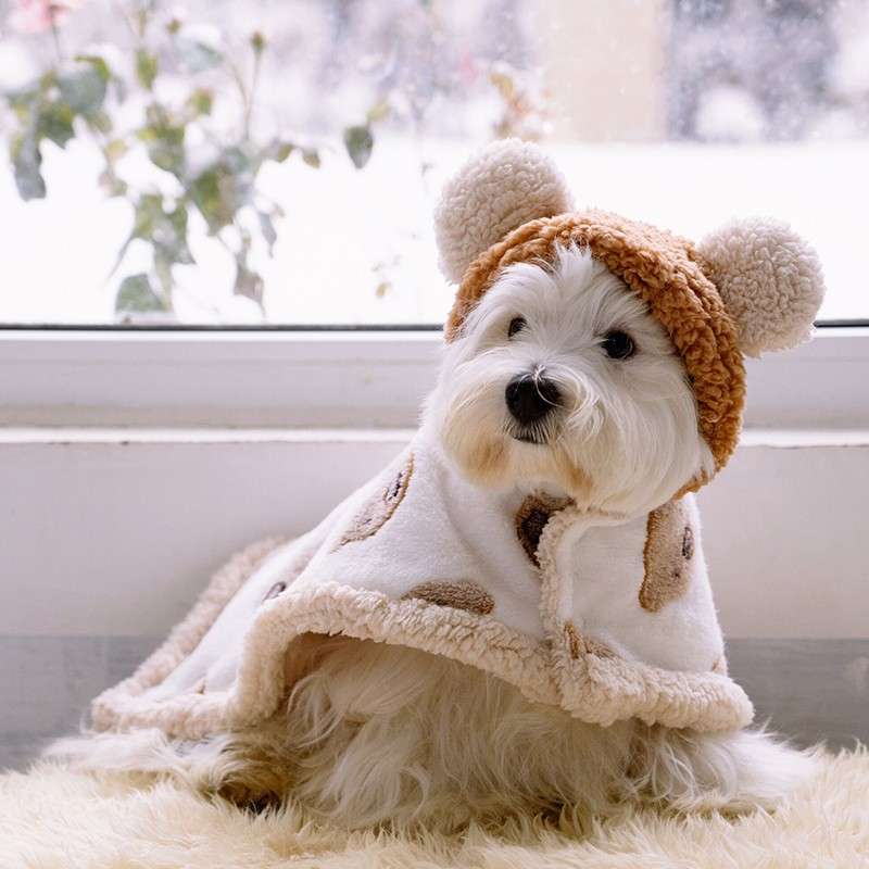 犬服 もこもこくまさん耳つき犬用パーカー