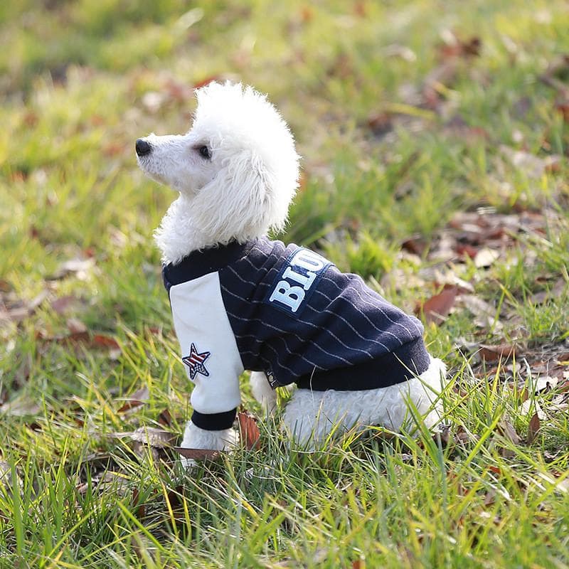 犬服 スポーティストライプトレーナー