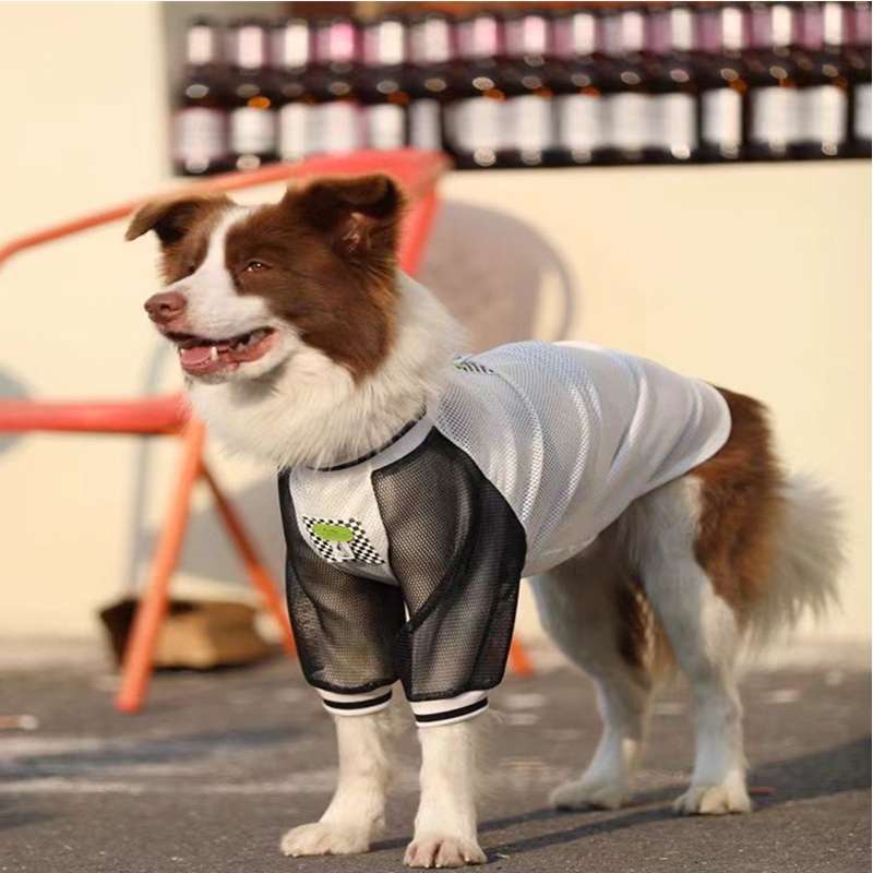 犬服 スポーティーメッシュTシャツ