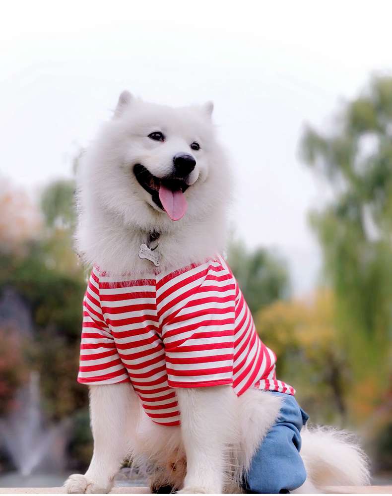 犬服 もこもこ大型犬用ボーダーつなぎ