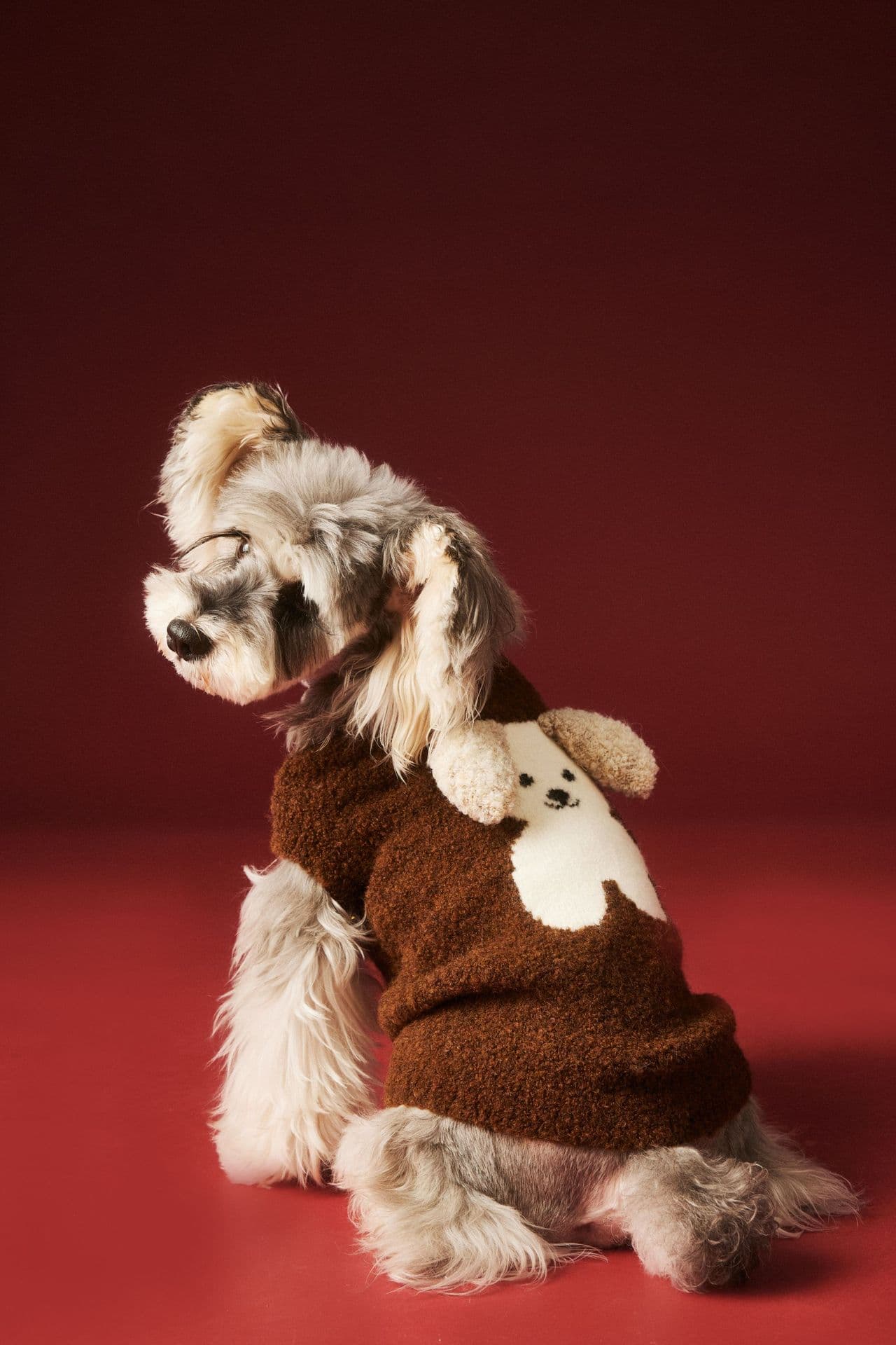 犬服 わんちゃんモチーフニット