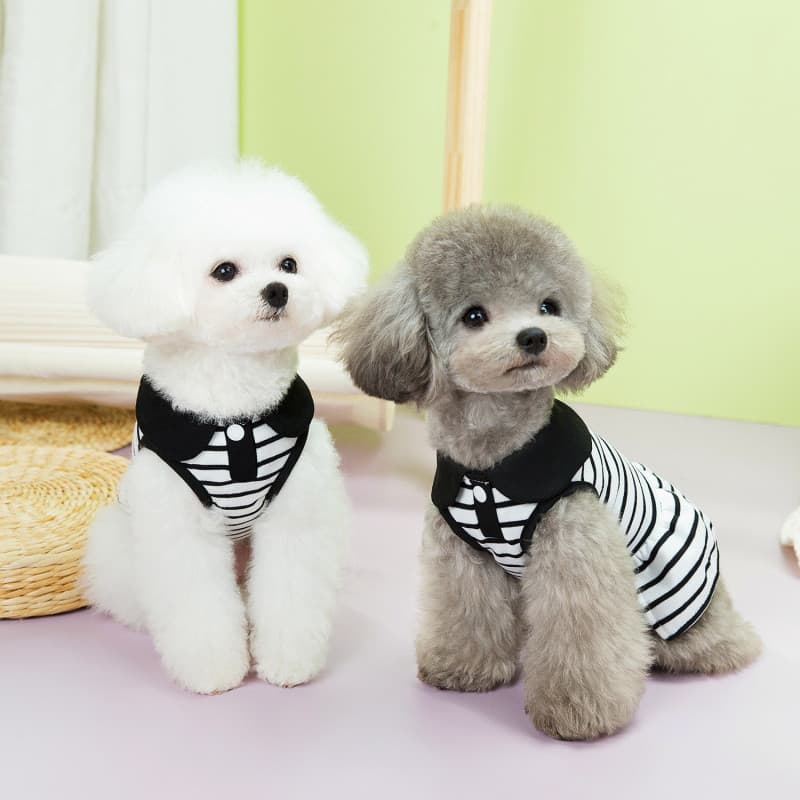 夏新作 ボーダー柄 犬服 可愛いワンちゃん用おしゃれ服