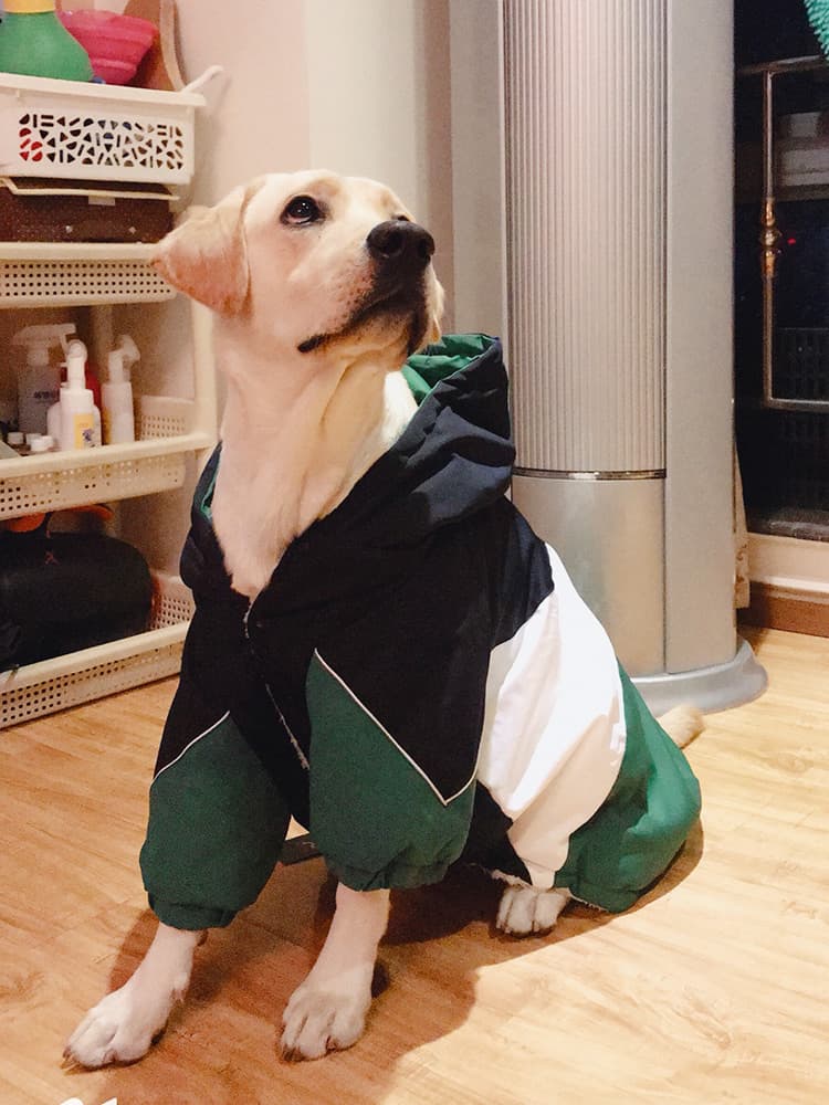 犬服 配色切替デザイン四つ足タイプ犬用パーカー