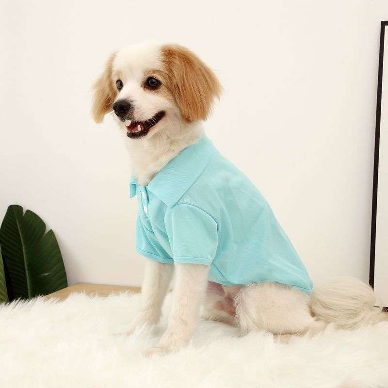 犬服 ふわふわ犬用シンプルTシャツ