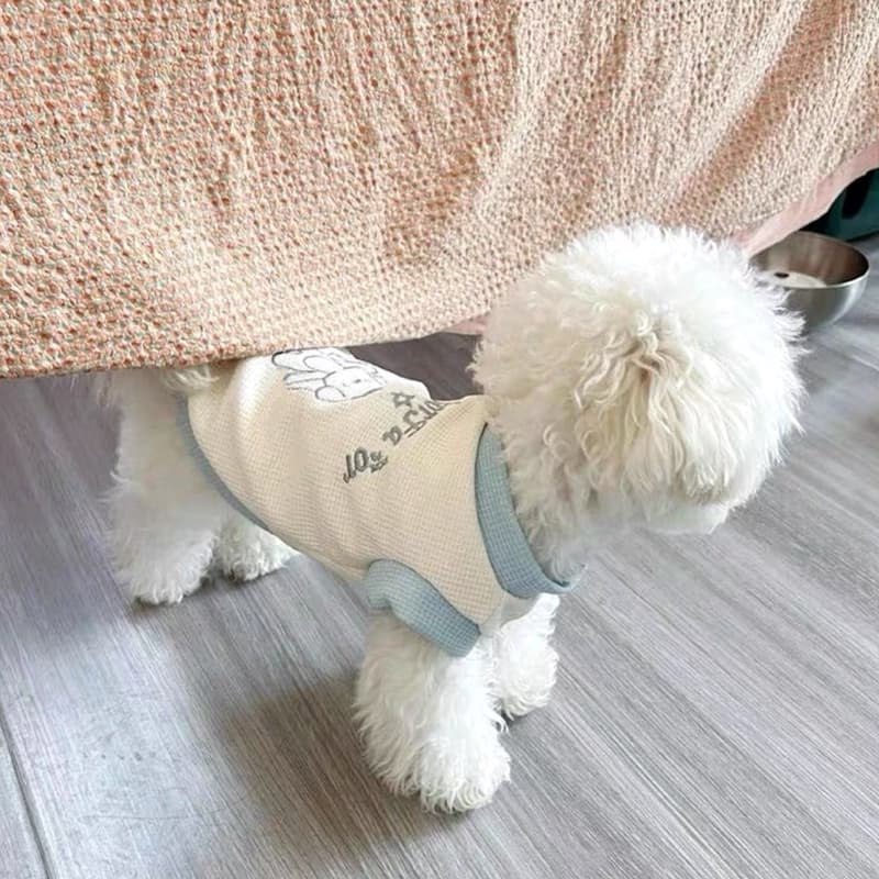 犬服 さわやか涼感メッシュティーシャツ