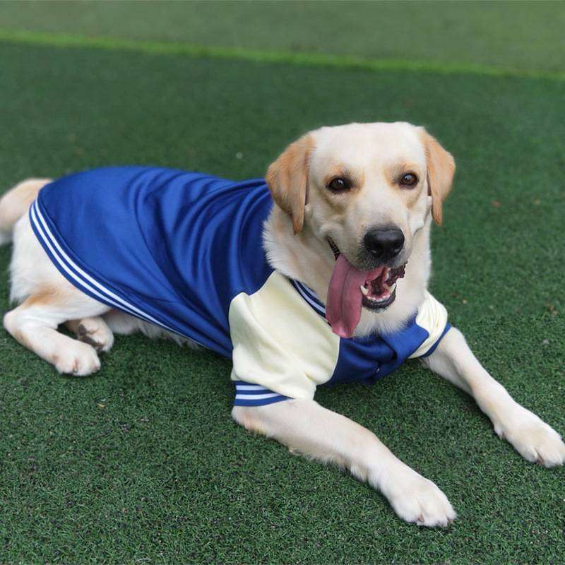 犬服 スポーティ大型犬用ジャージ