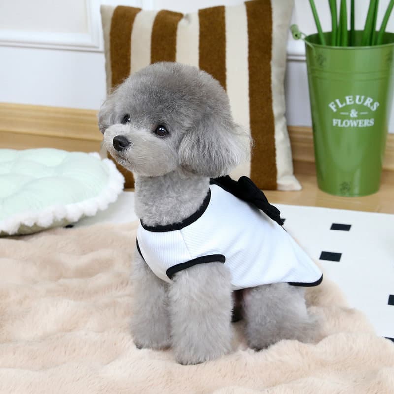 春夏新作 上品リボンワンピース 犬服 小型犬用フォーマルウェア