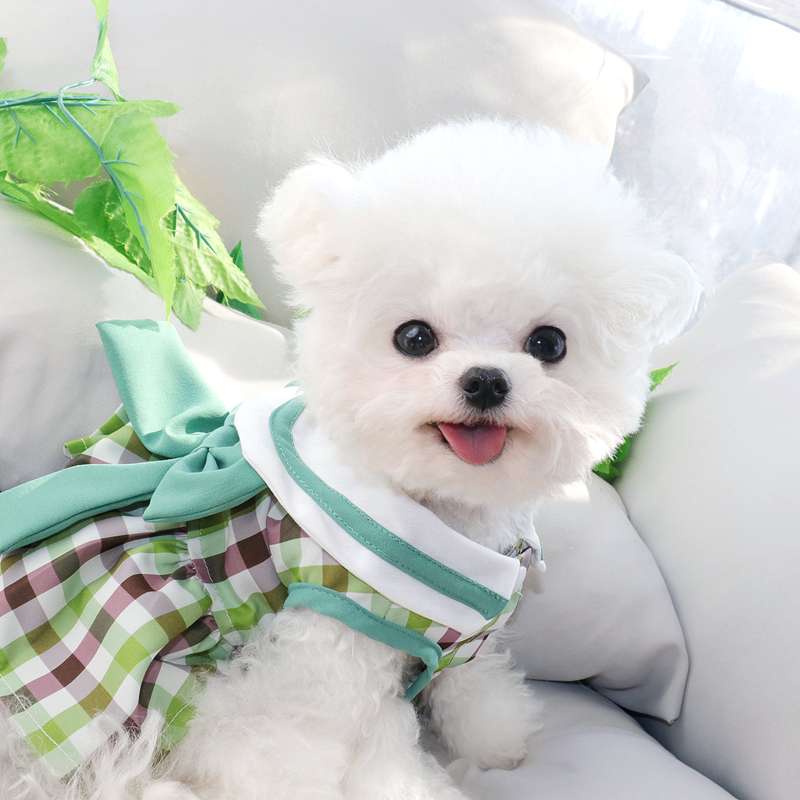 犬服 ふんわりわんちゃんのチェック柄ワンピース