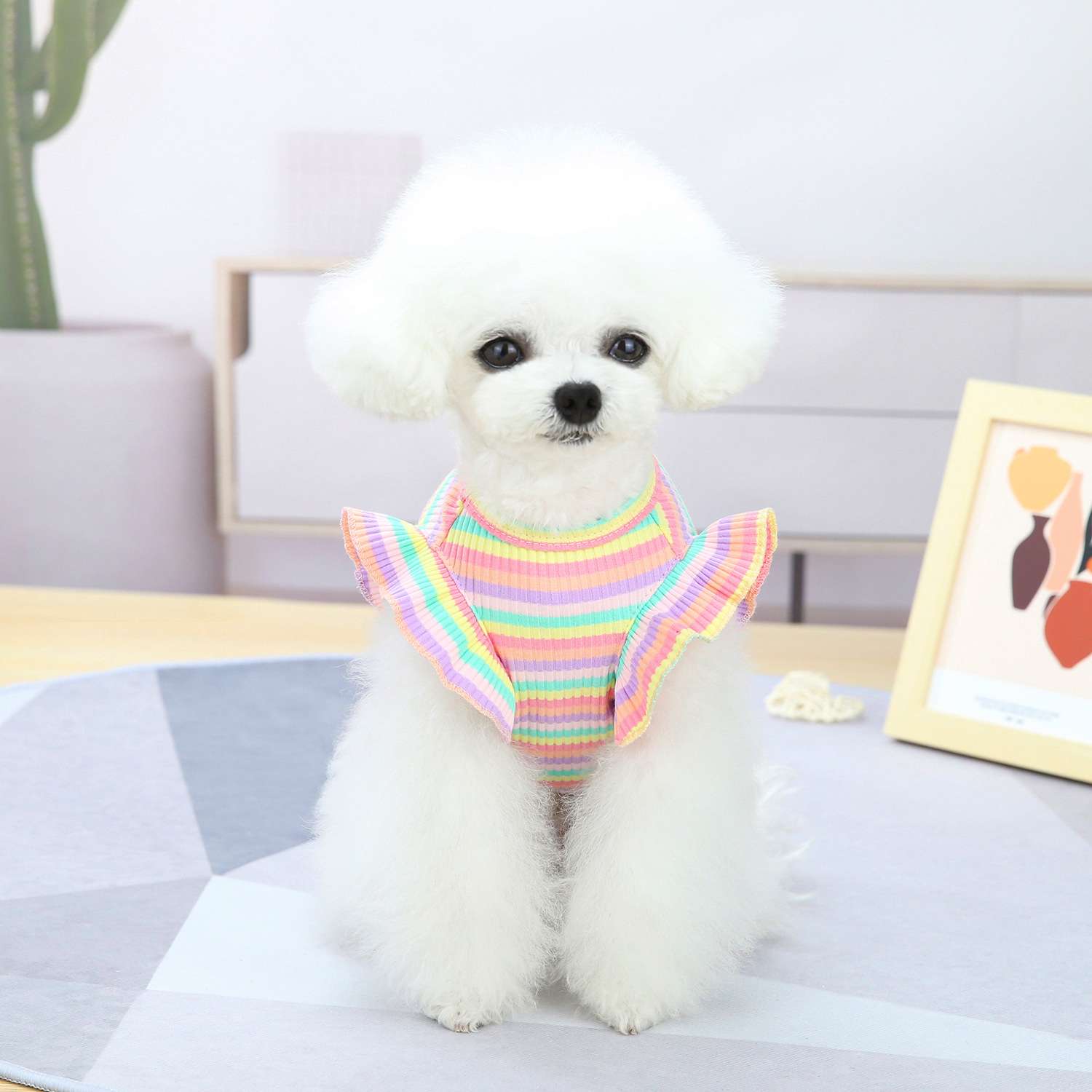 犬服 ふんわり小型犬〜大型犬用フリルワンピース