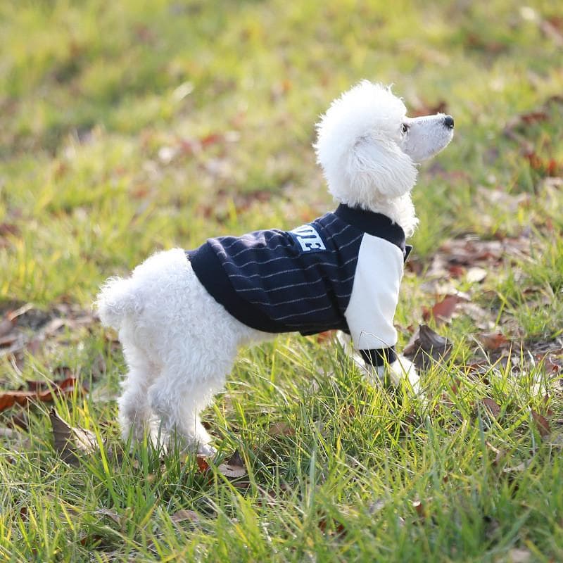 犬服 スポーティストライプトレーナー