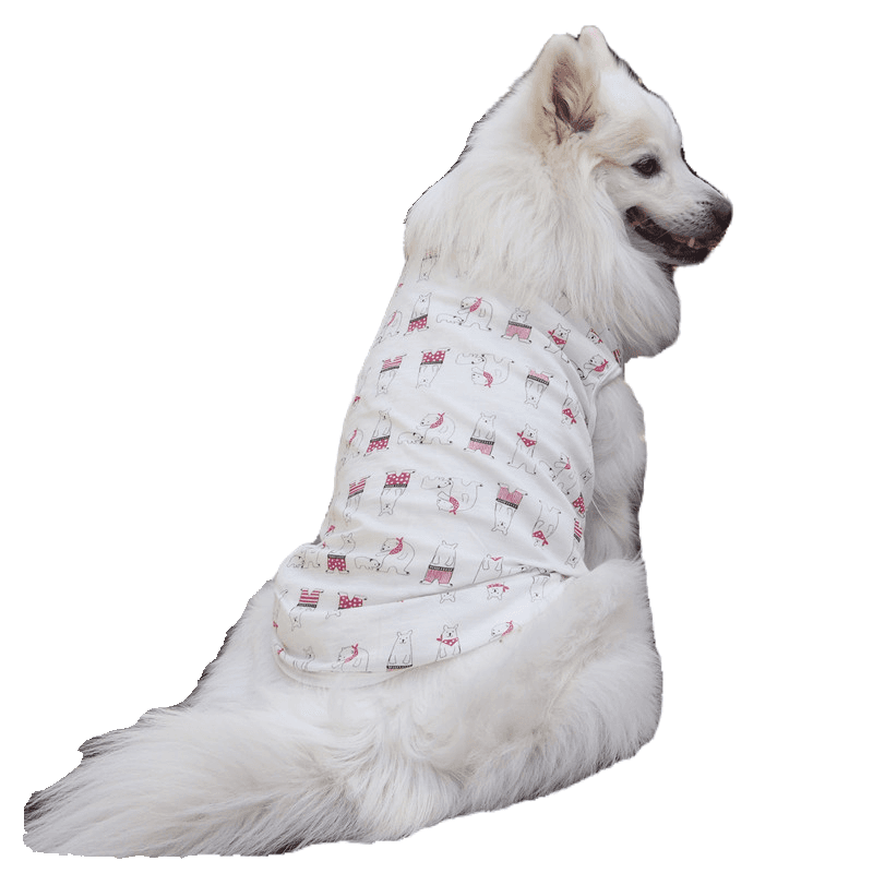 犬服 もふもふ犬のための涼やかTシャツ