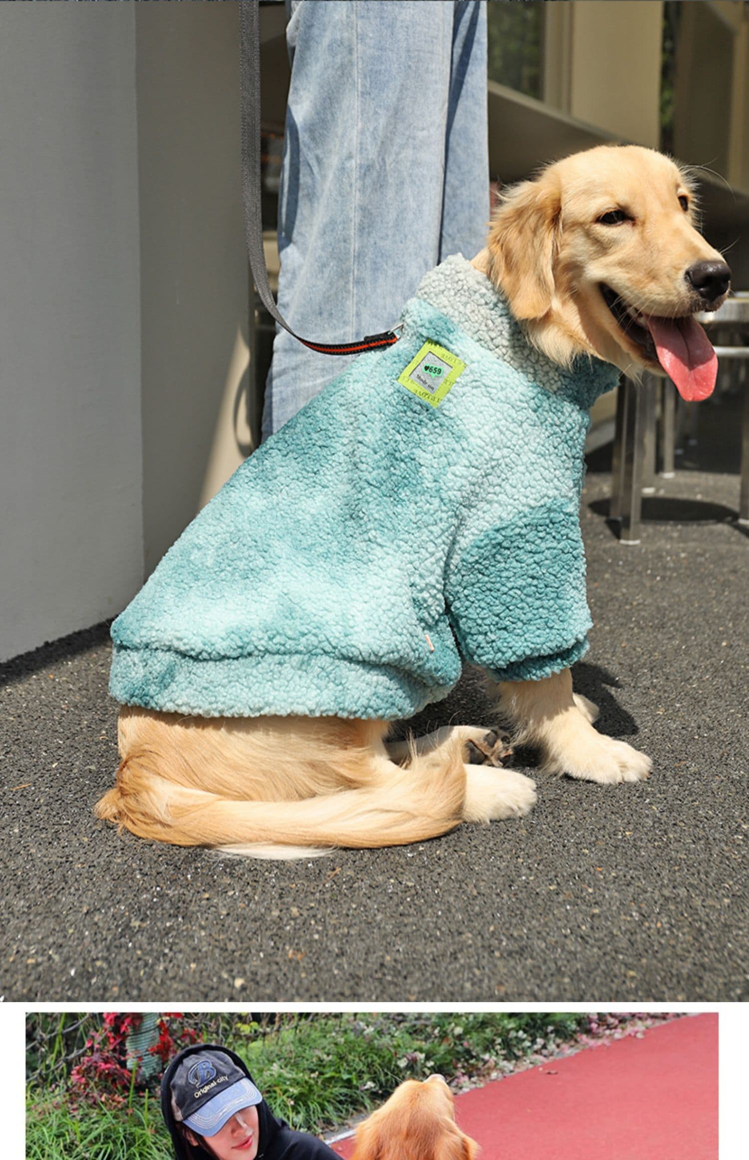 犬服 ストリート荷物タグパーカー