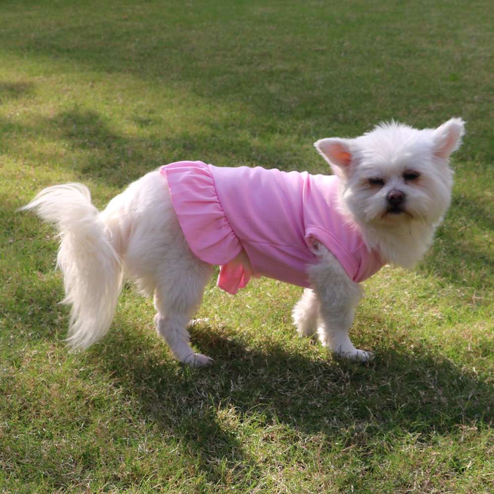 犬服 ふんわりスカート付き愛犬用ワンピース
