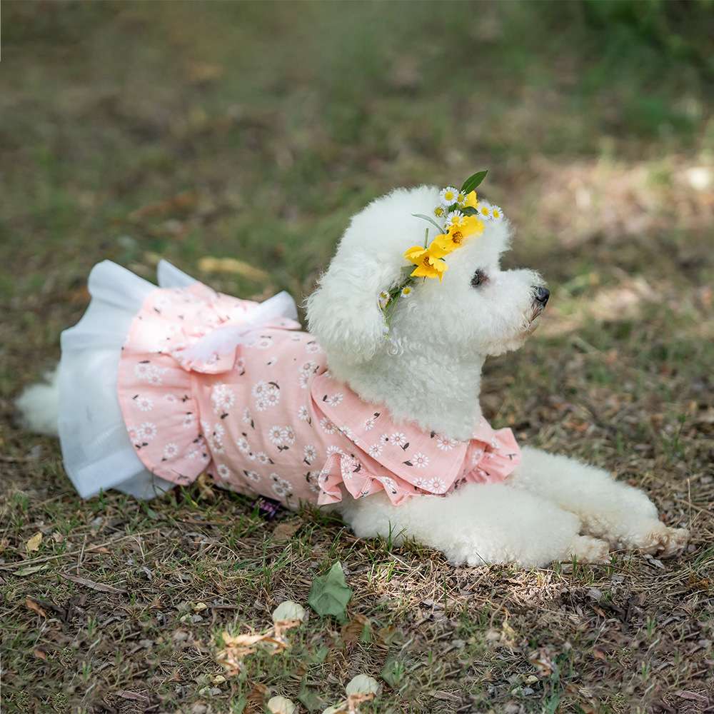 犬服 ふんわり花柄ワンピース 愛犬用