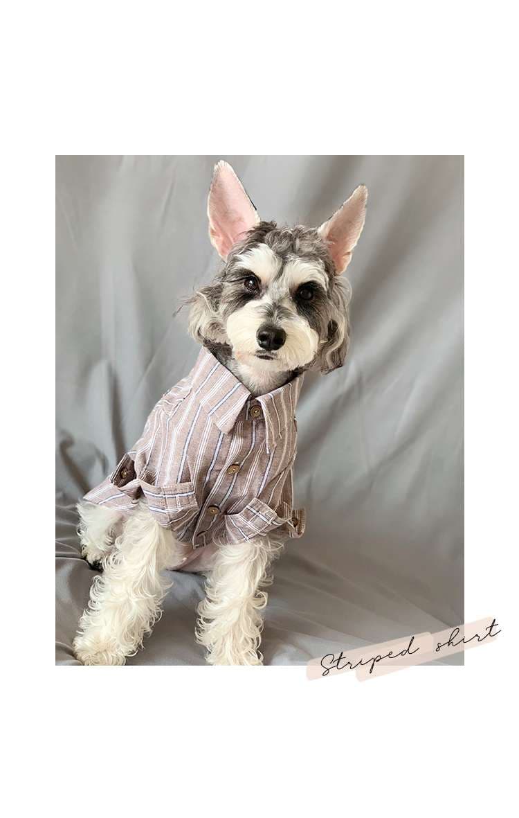 ストライプ柄シャツ風おしゃれ犬服