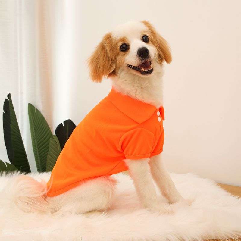 犬服 ふわふわ犬用シンプルTシャツ