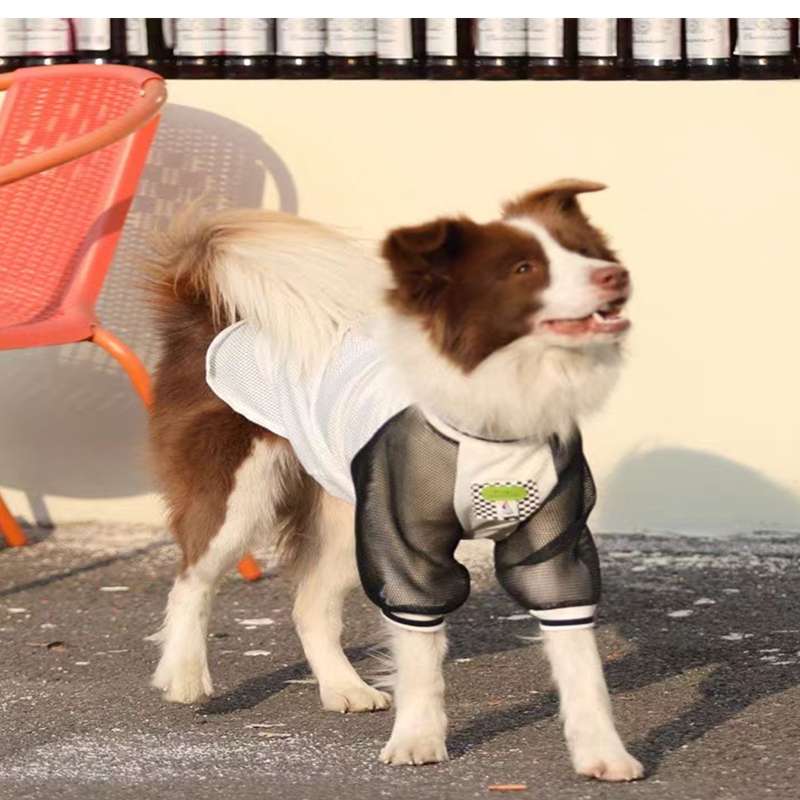 犬服 スポーティーメッシュTシャツ