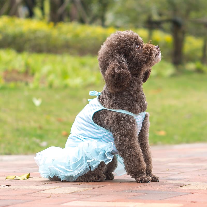 犬服 胸元リボン付きボーダー柄チュチュドレス