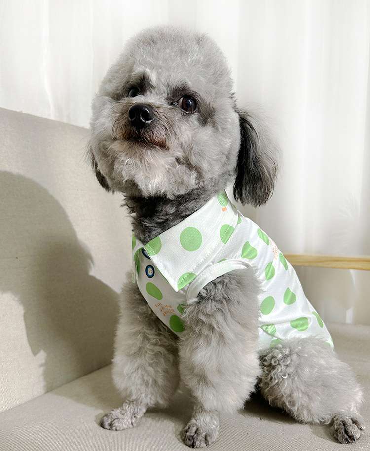 犬服 もこもこワンちゃんの水玉シャツ