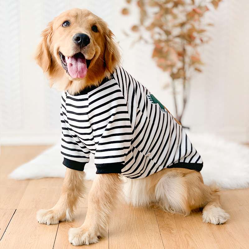 犬服 ボーダー柄わんちゃんTシャツ