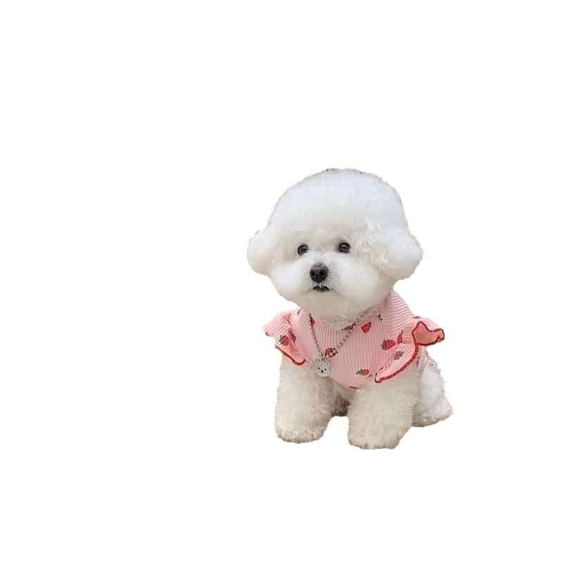 犬服 いちご柄フリル袖ニットワンピース